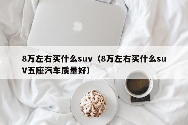 8万左右买什么suv(8万左右买什么suV五座汽车质量好)